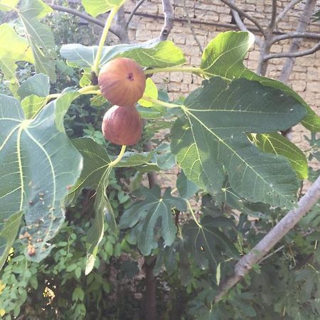 Fig Tree Barn Lejlighed Gibourne Eksteriør billede